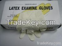 Latex Examination Gloves-powdered