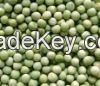 Green Peas Vegetables Usd $400/mt