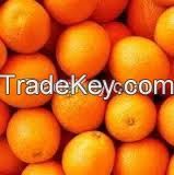 Fresh Valencia Orange