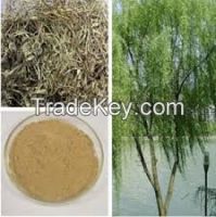 White Willow Bark Extract - Salicin