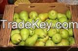 Fresh Pears Fruit