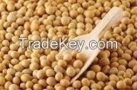 Non GMO Soybeans