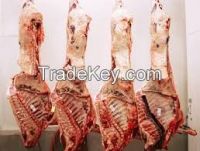 Frozen Halal Beef Carcasses And Fore Quarter / Hind Quarter Cuts