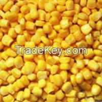 Organic Pop Corn Seed Kernels