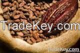 High Quality Cacao Beans