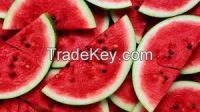 Fresh Water Melons Fruits