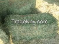 Alfalfa Hay Bales & Pellets