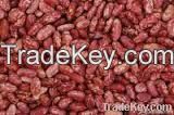 Light Spackled Kidney Beans, Cranberry Beans, Beans