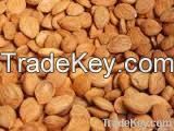 Organic Ginkgo Nut Kernels
