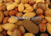 Quality Non-GMO Brazil Nuts with and without shells