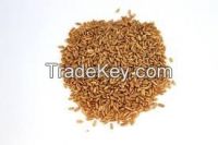 Naked oats/Hulled Oats