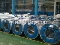 Galvanized GP Steel Coils