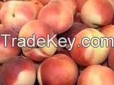 Fresh Packham's Pears