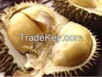 Vietnam fresh durian