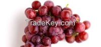 Flame Seedless grapes