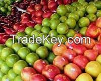 FRESH TOP RED APPLES
