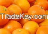 FRESH FRUITS AND CITRUS FRUITS