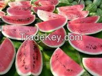 South African Watermelon