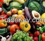 Export All Kind of Agricultural Products