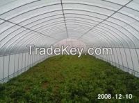 Used Agricultural Greenhouses Sale