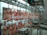 Halal Lamb/Halal Mutton