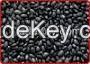 latest Crop black bean yellow kernel canned black beans