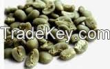 arabica coffee bean price