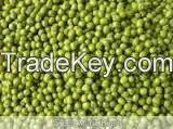New Crop Green Mung Beans in top quality