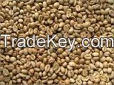 Cheap Famous Indonesian Robusta Coffee bean