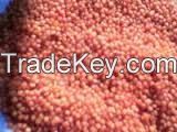 Quality Bulk Red Lentils For Sell