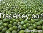 Mung Beans Seed