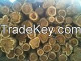 Rosewood, Round Log, Timber, 