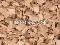 Hot sale eucalyptus stick wood logs price