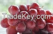 Typical sweet fresh grapes for sale from original supplier