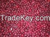 HACCP Factory Canned Fruit Green Cherry