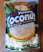 freeze dried coconut slices dried coconut