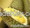 FROZEN/FRESH DURIAN 