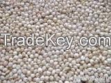 wholesale red sorghum