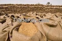 Hard and Soft Wheat