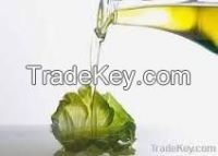 Castor Oil (B.P)