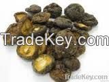 dried mushroom granules
