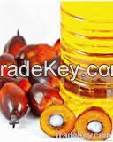 palm kernel oil extraction