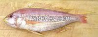 Whole Golden Threadfin Bream Fish