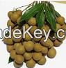 Dried Longan fruit- high quality