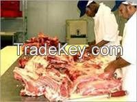 Frozen Halal Beef Meat