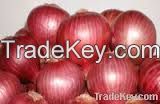 red fresh onion of mesh bag