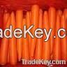 fresh chinese nice red carrot in good taste