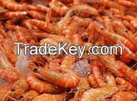 FRESH SEAFOOD PRAWNS