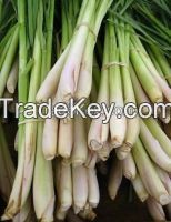 LEMON GRASS