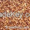 Sell Roasted Buckwheat Kenels, Fresh And Dried Buckwheats